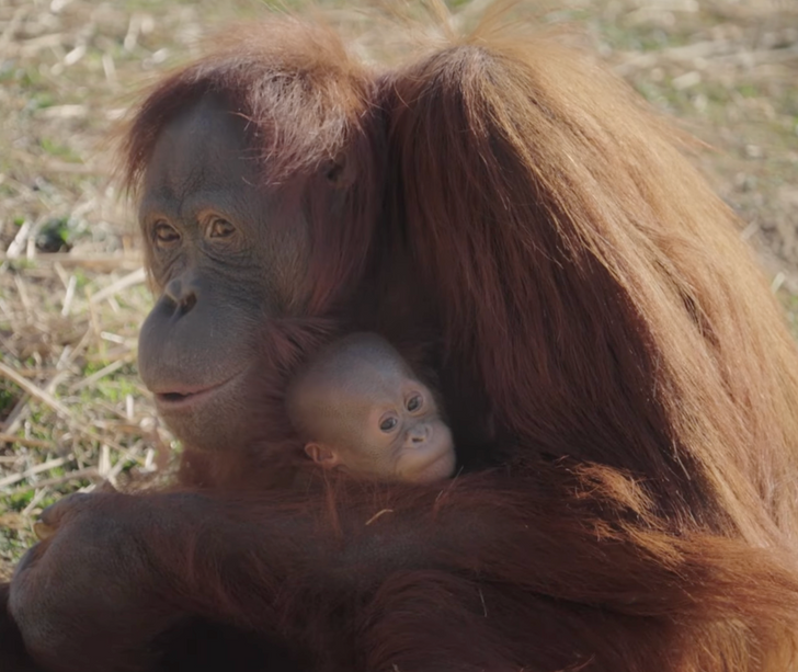 f1e24d5ad998df1bb8cc830017