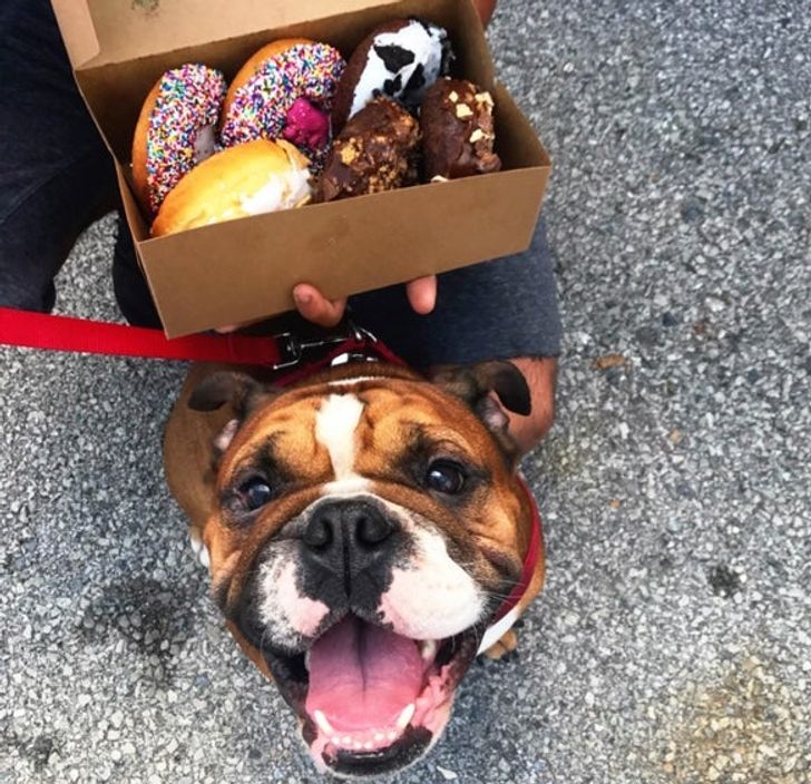 f1e5e551c9848655853830237a