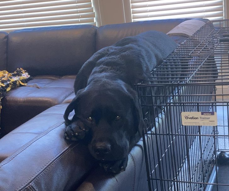 f1e9905dddb482f397470572ce