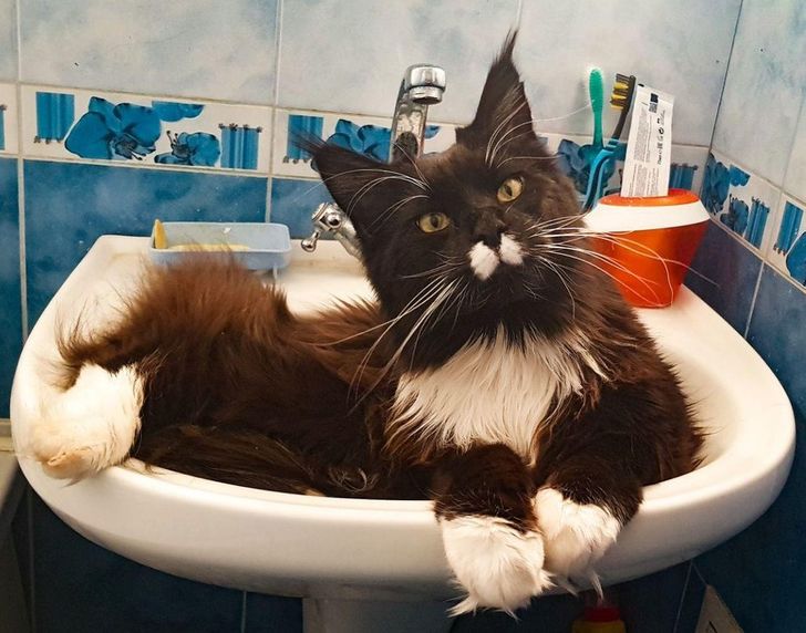 f1eb435a44aa9fc41e1b4fe8d9