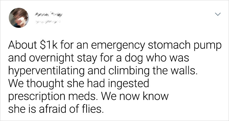 f1f0255eb29769805c4fda7fcd