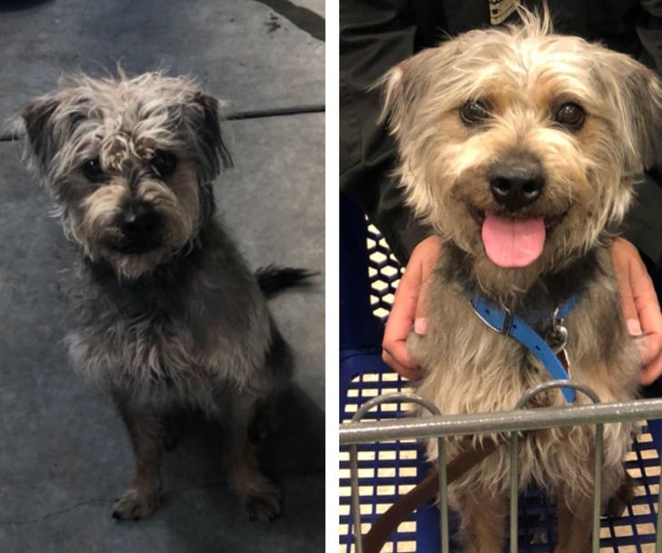 f1f4235fb0a15b4af07ba01439