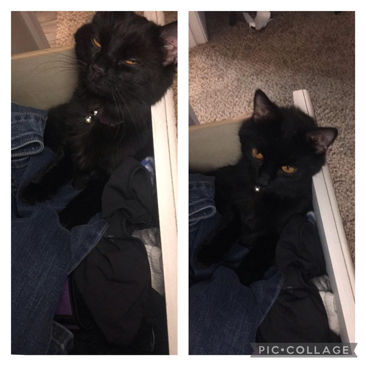 f1f4eb520da65a3bd794dfd040