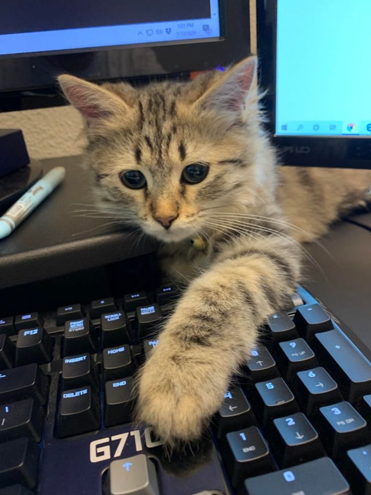 f1f562502cbf598ac19c092548