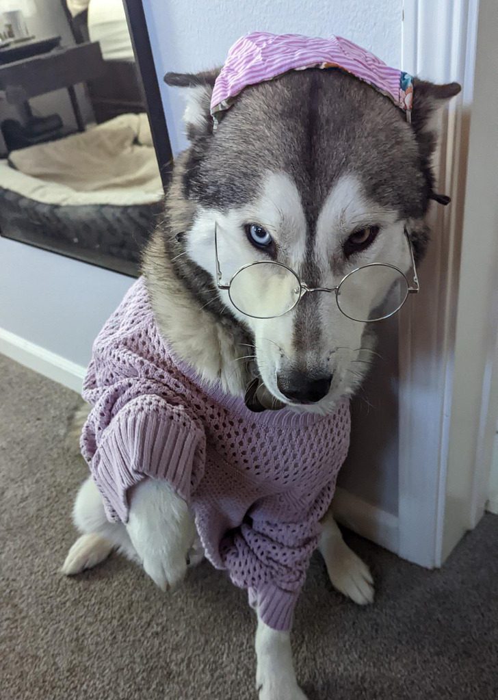 f1f59e501885029ea1fc1a5453