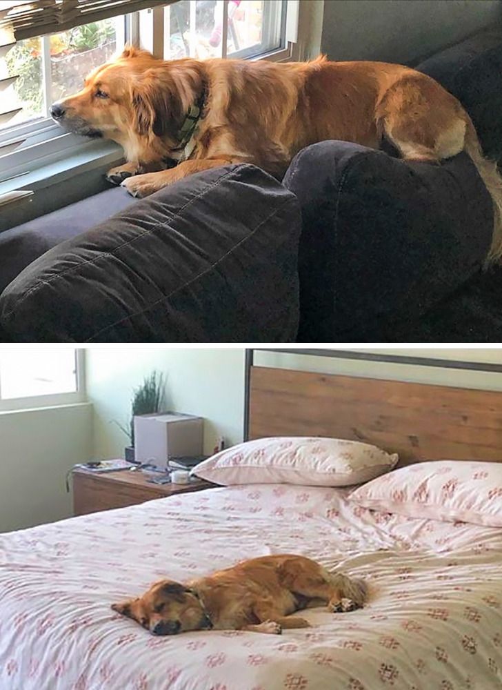 f1fda25dacb09a7c908c7d3600