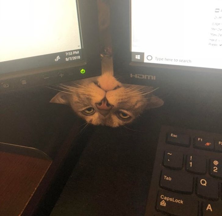 f1ff635a71a1881c9c62d9b77c