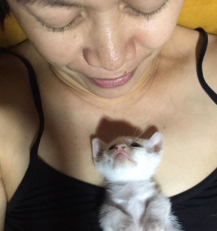 f204df55938118b934fd8d167f