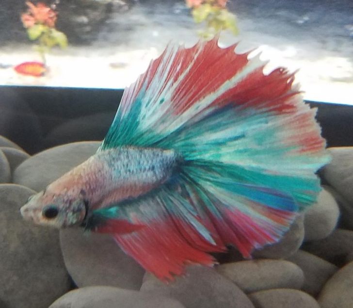 f206355a05b12ea17d88ef90c9