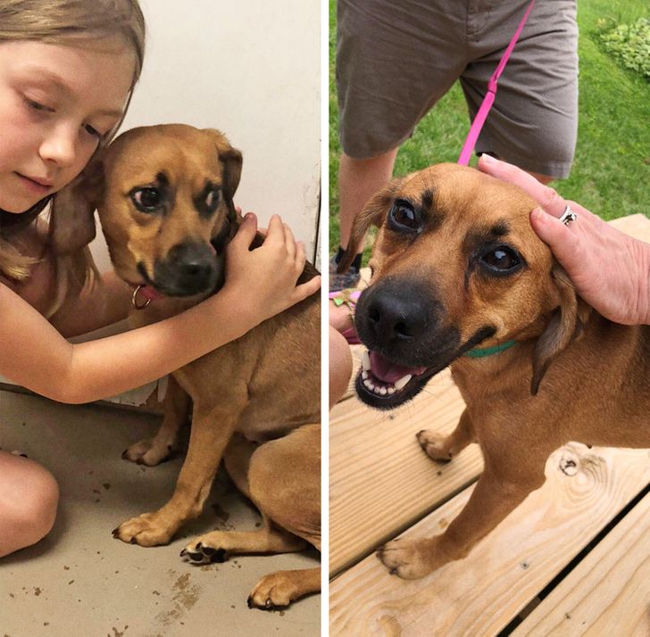 f20bde551dbd39bd96df018549