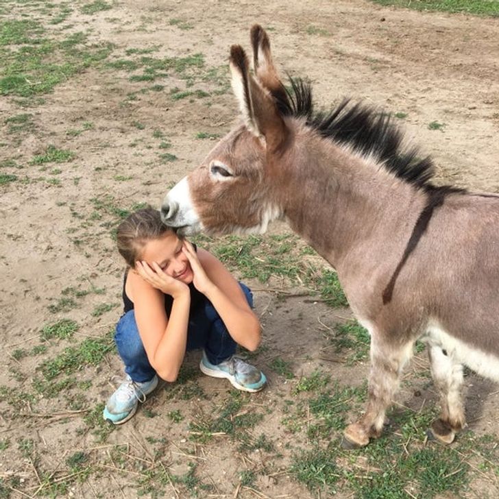 f20c7c53eba0dea486feb49d9e