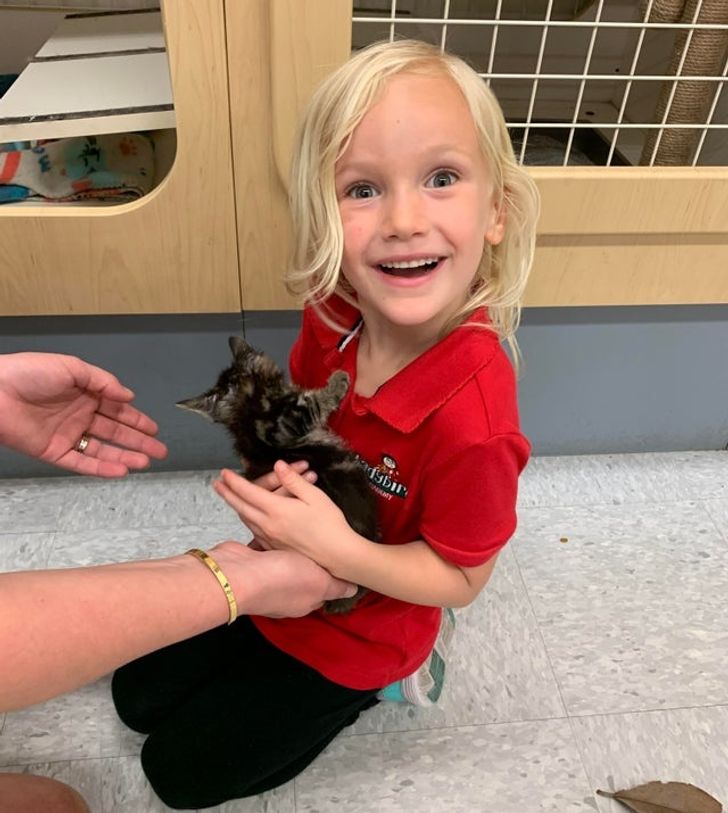 f20e3a54e7a18ef8c403cd77d2 f20e3a54e7a18ef8c403cd77d2