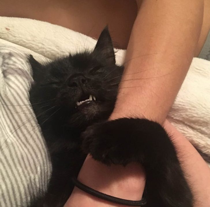 f21158569ba34e482fb4453e89