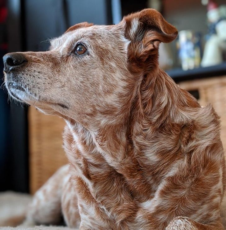 f212705740ad00713bc40c62da