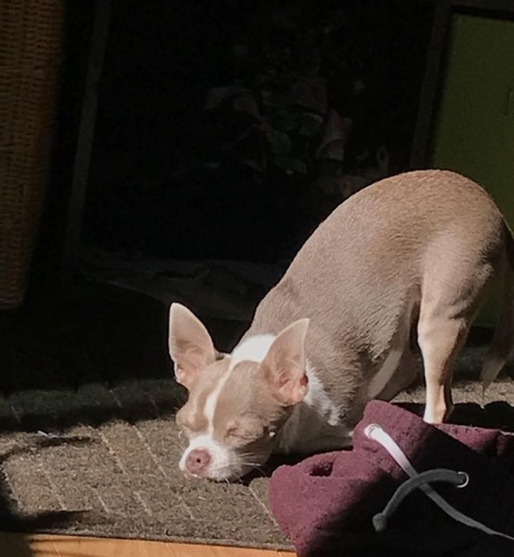 f216c1585eb8e1e108e6939318