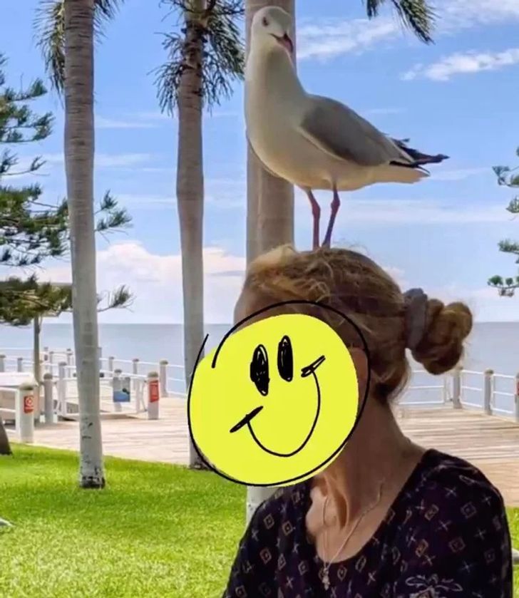 f216d5542a927dfffc2bdccd88