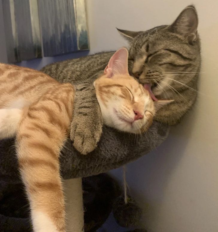 f21d725a029ce0a16fbdb9c056