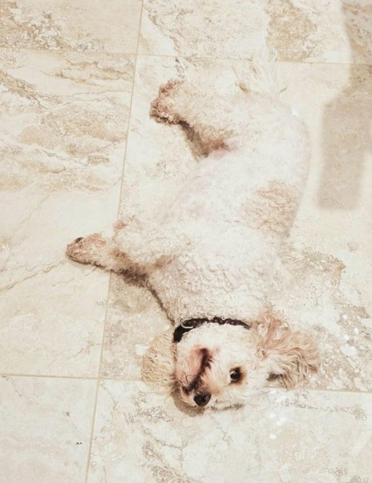 f221a659629ee3bf9535fc54c9