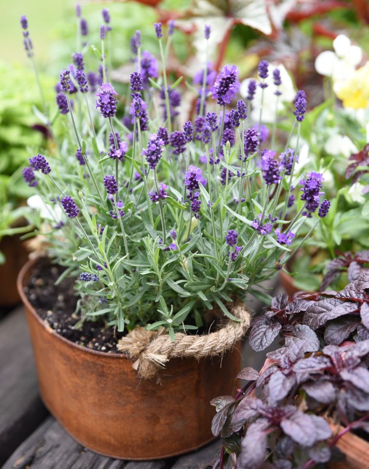 f224725e5a94a87810b872bb7e