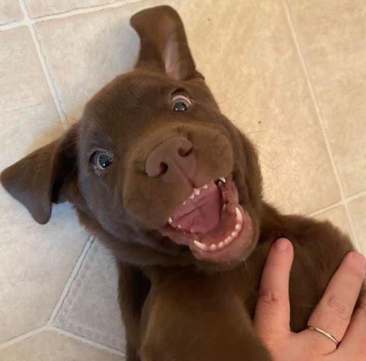 f224eb5ebbbecf2170b95f7ca8