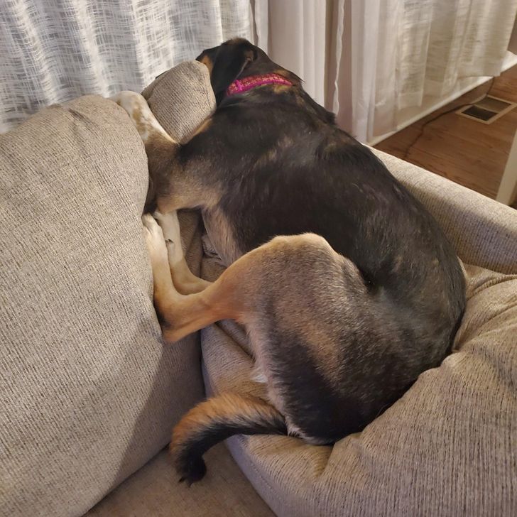 f227135f79b8e5981b78f0df2b