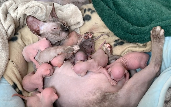 f22b615b1583487ae95a6bbb14 f22b615b1583487ae95a6bbb14