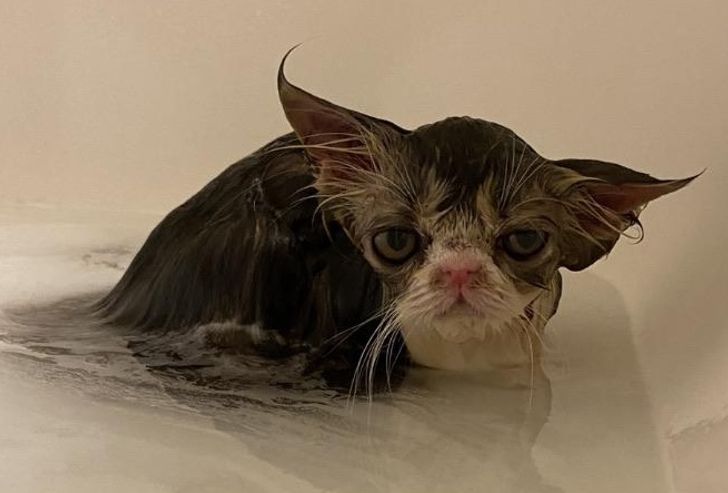 f22f33592e93948ea40e03e1f9