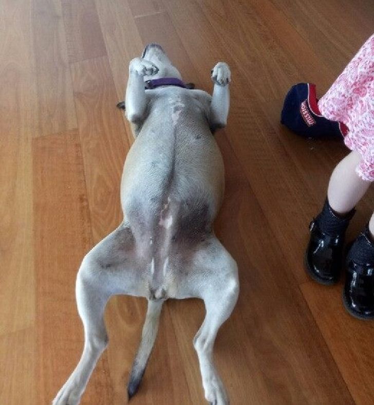 f2347c518c868552abd2ccb8e3