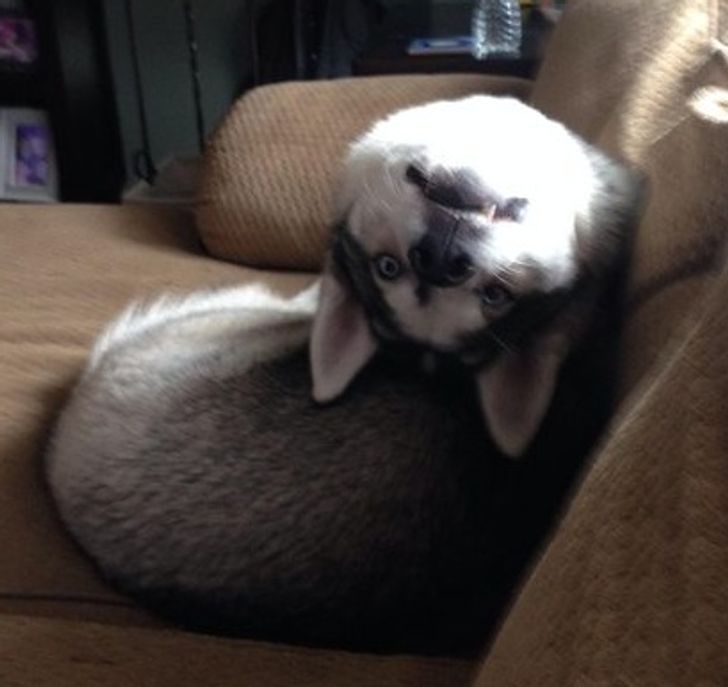 f238af5e919f62c9b9f5bf4c60