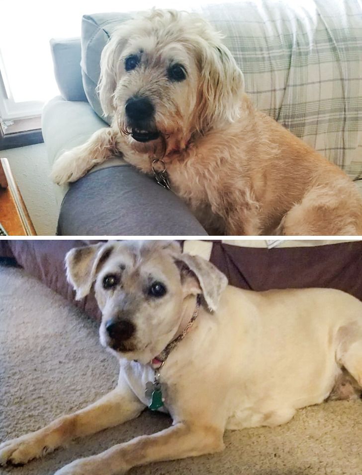 f23b4c54ea99379ec2e850e3c7