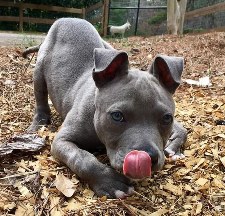 f23ca05db5b7f6243cb53d01bb f23ca05db5b7f6243cb53d01bb