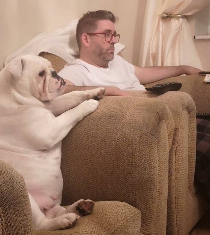 f2462c575da1f9818e0f38ce91