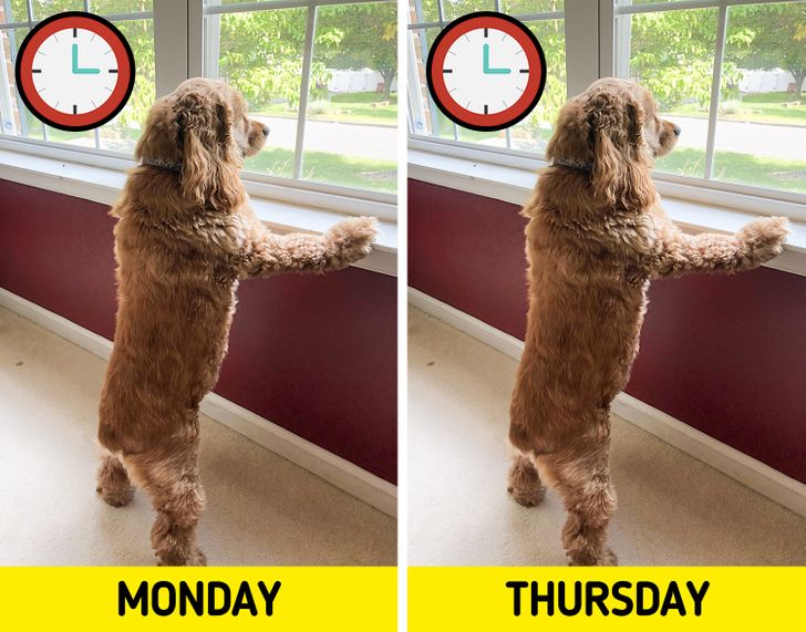 f24a4a5889932f30cc71a4c1d8