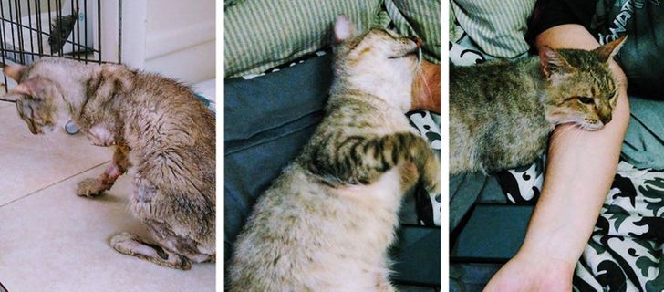 f24b7e542fa70ca999557ccde5