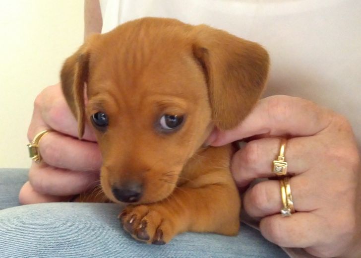 f24c7d5c9997aadb06ffd3b5a4