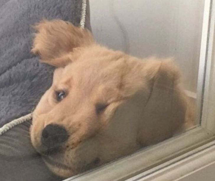 f24dbb5ac7b02845670226a6fd-1