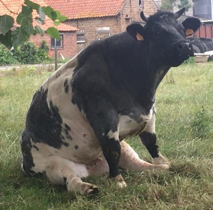 f24e085f68a6f9bd2e64086ff1