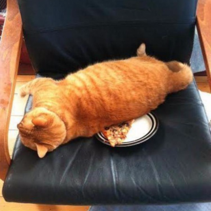 f250e5556fa59b6ef505ed7fac