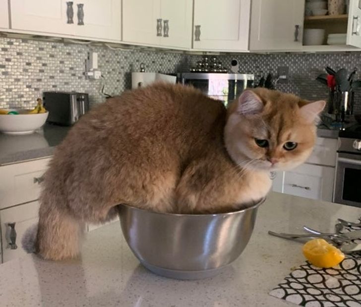 f251515a69a0e72c76269e50d1