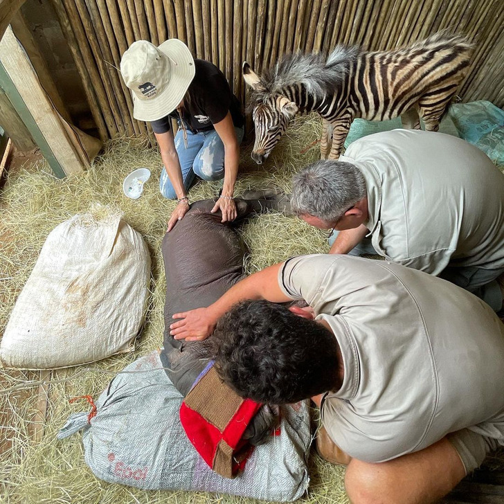 f25175517a9c36c53c4a6e6806