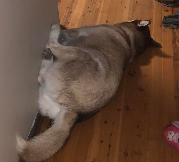 f256955ef9b409883ce024444f