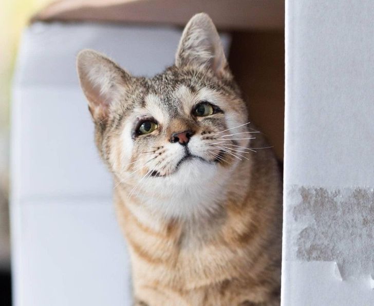 f25dda5a09aafa7196df94db8f