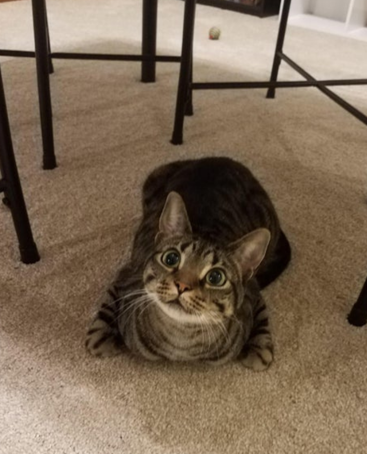 f2605e5d7cb15bfb8c724e786c f2605e5d7cb15bfb8c724e786c