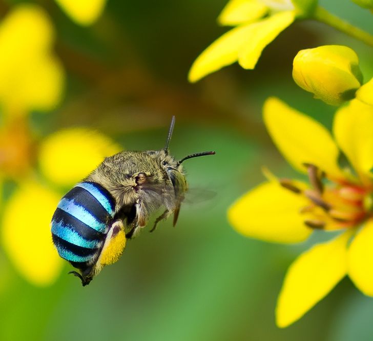 f263de5bee9dc1c0b83be0ba36