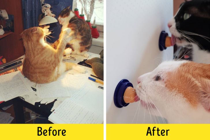 f265dc5b1294e0eb2f8009c301