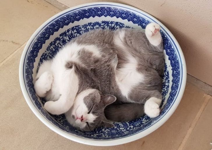 f26a4e55f2a796b9a39e0bd7bd