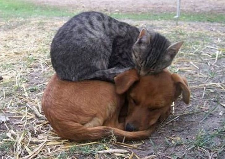 f26bb6574390c1b79e312850c6