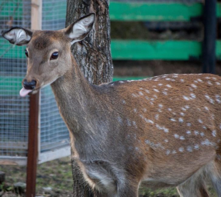 f27aaf5b91bb127523384645d7