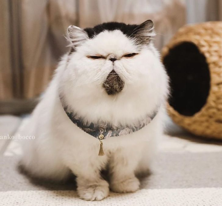 f27ca25cf3a7bd5a7212e13cdf