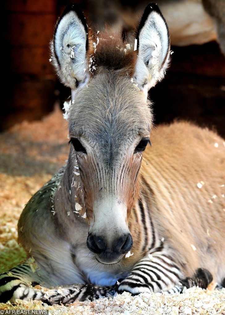 f27d6a582896138691f9d846c3